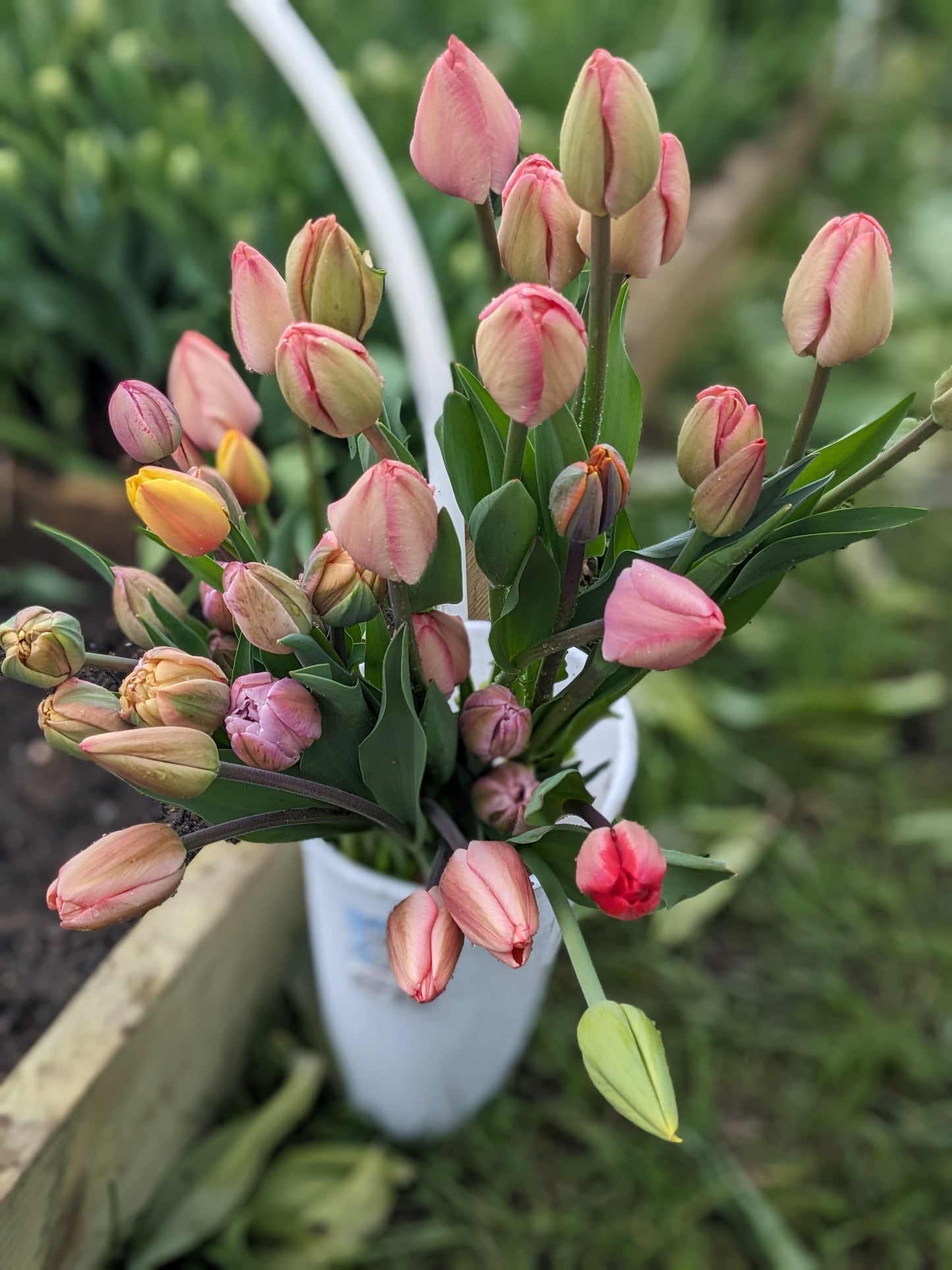 Small May Bouquet