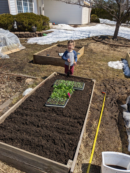 Cut flower seed starts