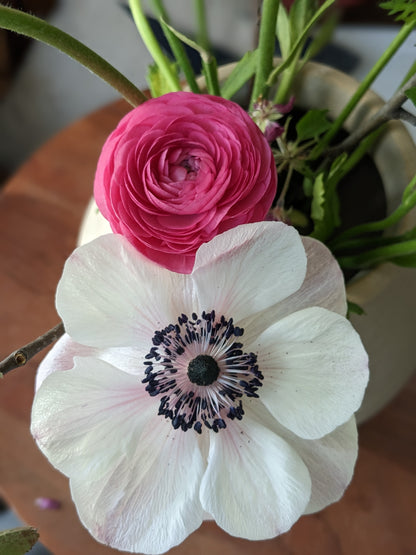 Ranunculus Amandine Rose