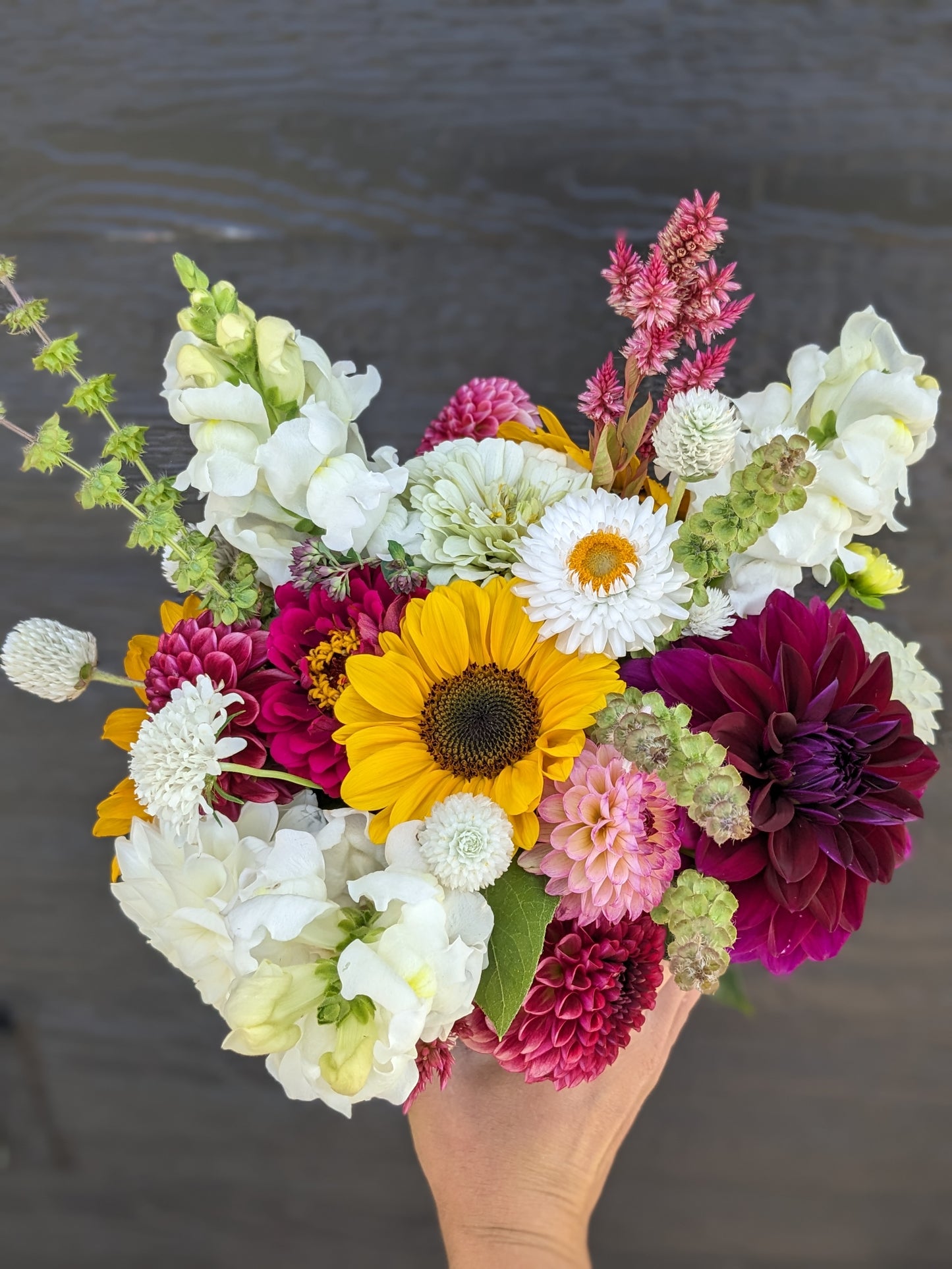 5 Month Flower Subscription- Delivery