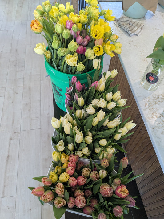 Small May  Bouquet