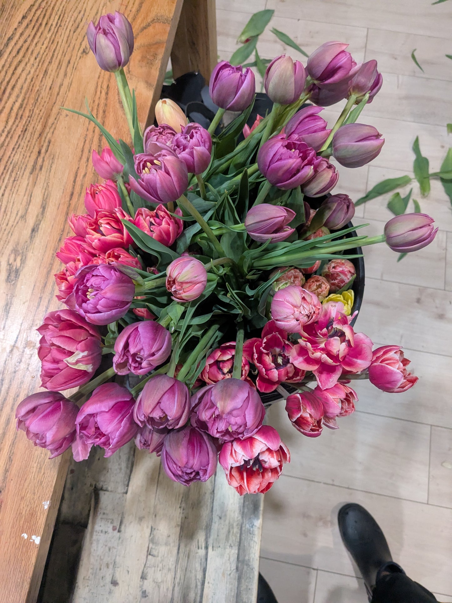 Tulip Bouquet