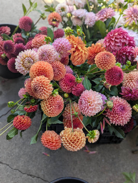 Flora's Garden Gift Card