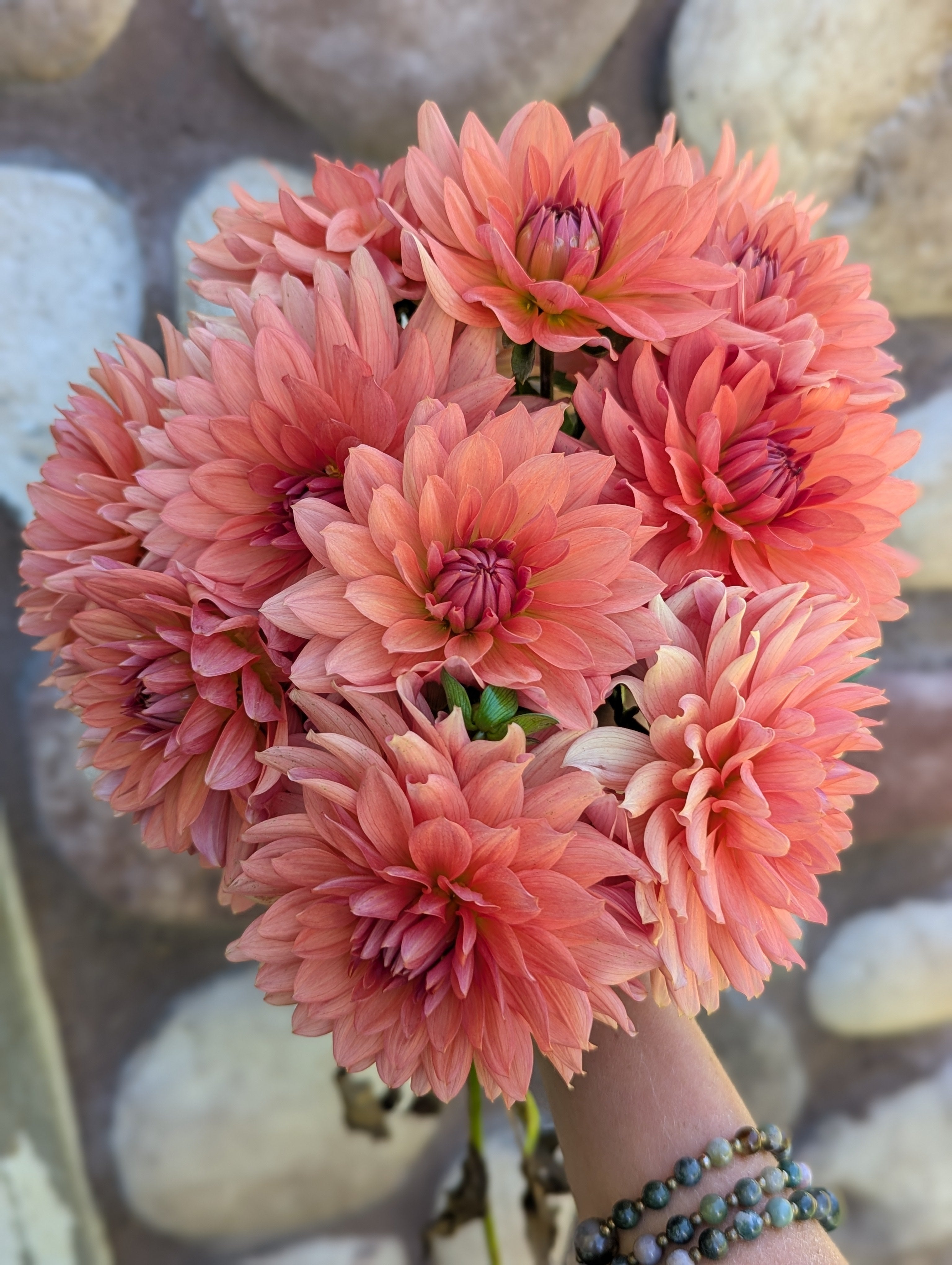 RM Electrical – Flora's Garden