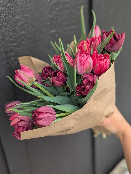20 Tulips