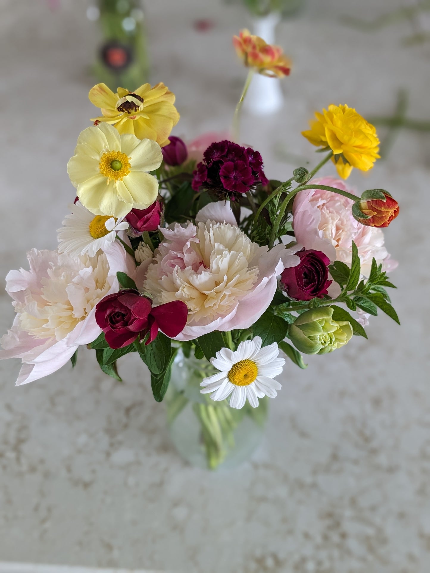 5 Month Flower Subscription- Delivery